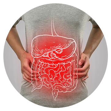 Digestive Power